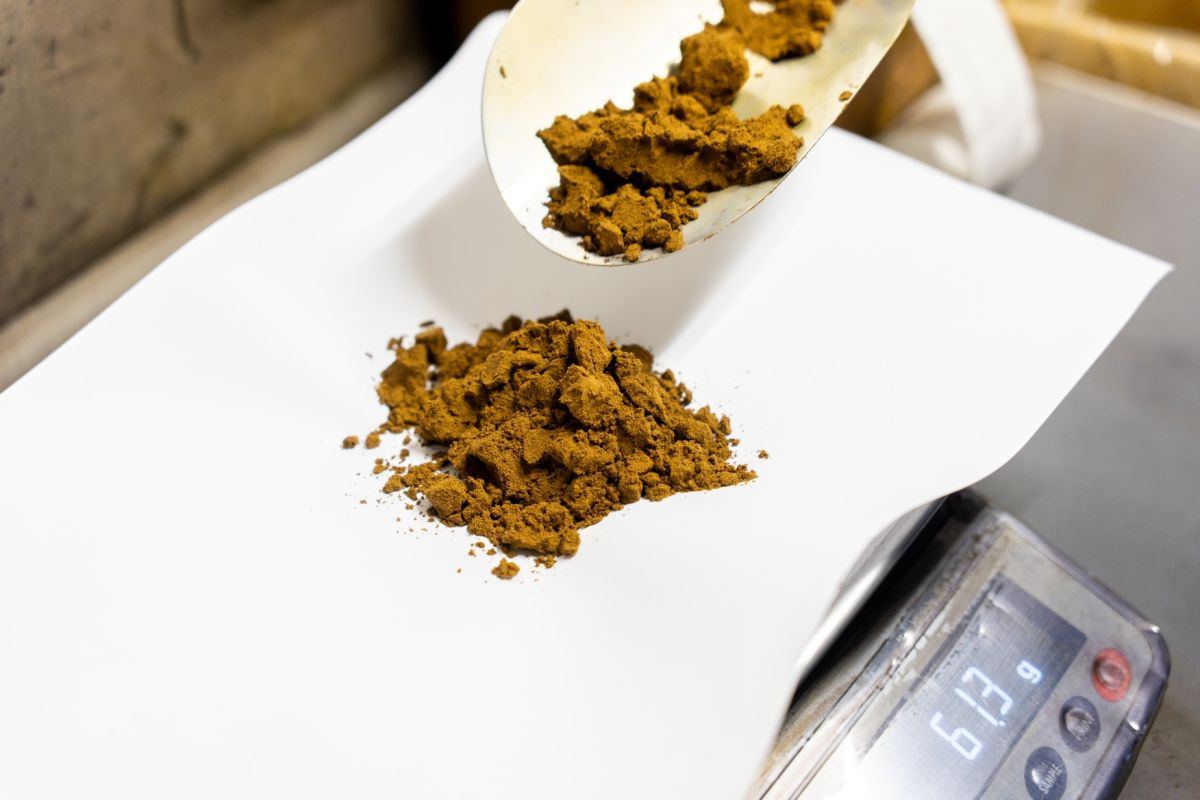 染色作業（秤量）